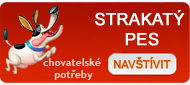 Strakatý pes